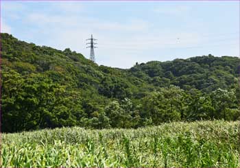 送電鉄塔