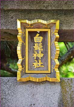 神額