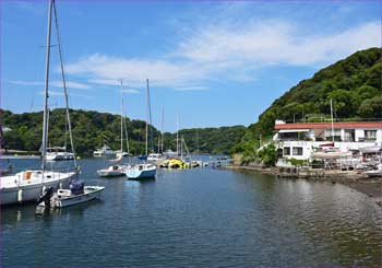 油壺湾