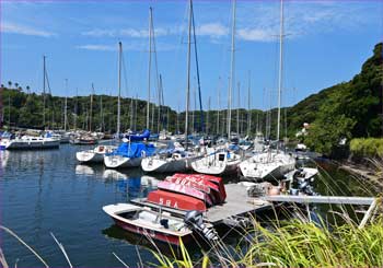油壺マリーナ