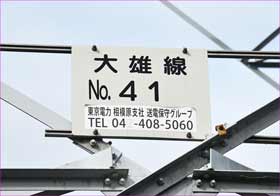 プレート４１