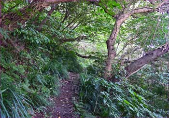 山道