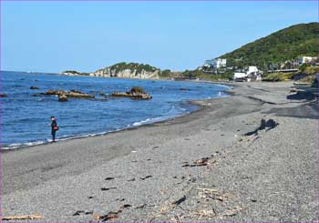 関根海岸
