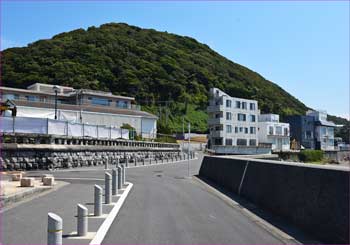 三ヶ岡山