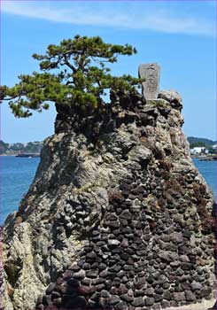 千貫松