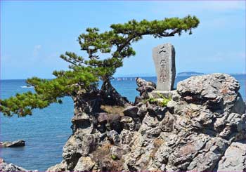 千貫松