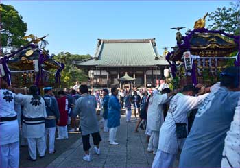 遊行寺ご帰還