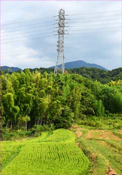 鉄塔と棚田