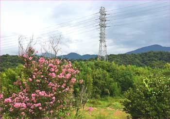 送電鉄塔