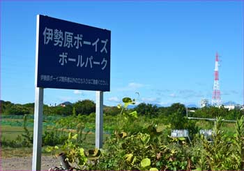 ボールパーク
