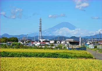 富士山