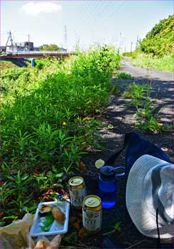 渋田川で昼餉