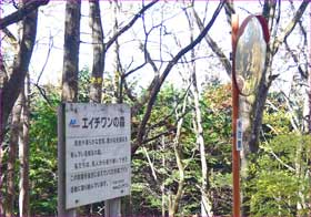 エイチワンの森