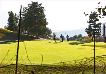 ゴルフ場