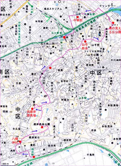 根岸地図