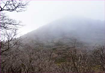 山も霧に