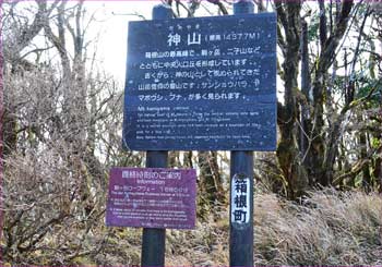 山頂