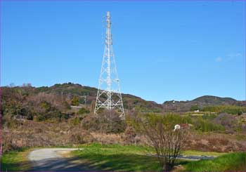 裏手の鉄塔