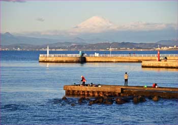 江島から富士を