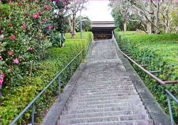 寺への階段