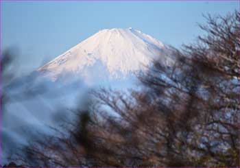 富士山