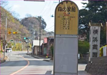 森の家バス停