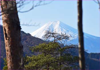 富士山