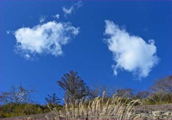 雲二つ