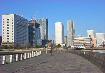 象の鼻からみなとみらい　　