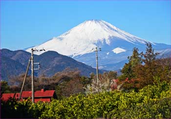 富士山