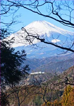 富士山