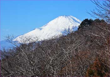 富士山