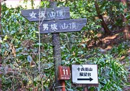 分岐