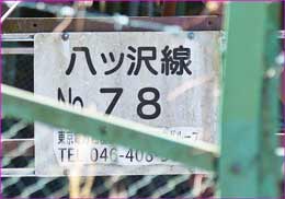 プレート