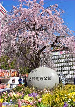 上野恩賜公園