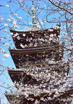 五重塔