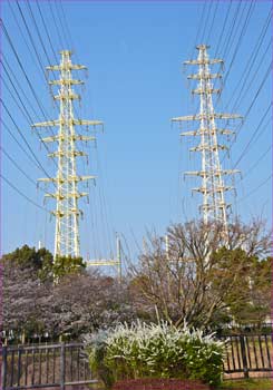 藤沢変電所の鉄塔
