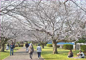 親水公園