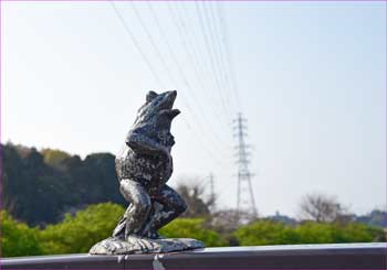 橋の蛙