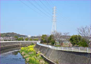 引地川
