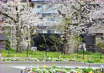 蒔田公園