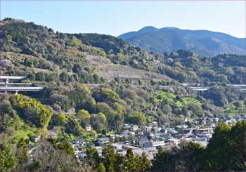 高松山も見ゆ