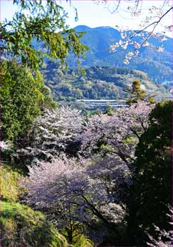 高松山