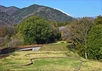 城址展望