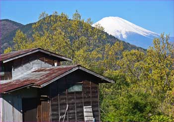 富士山