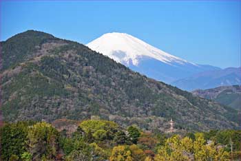 富士見ながら
