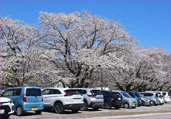 大口広場