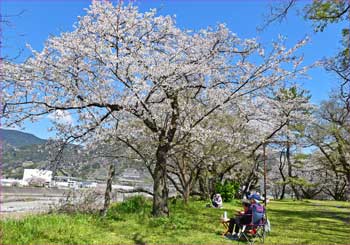 大口広場