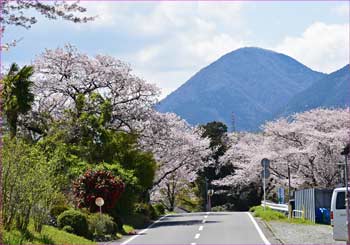矢倉岳