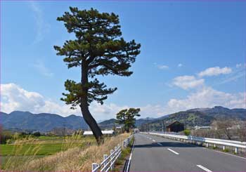 来た道